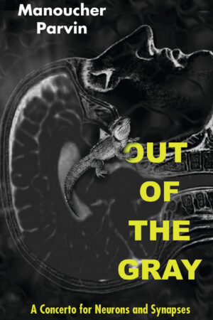 Out of Gray Front RS Out of the Gray: A Concerto for Neurons and Synapses