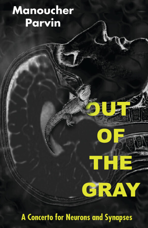 Out of Gray Front RS Out of the Gray: A Concerto for Neurons and Synapses
