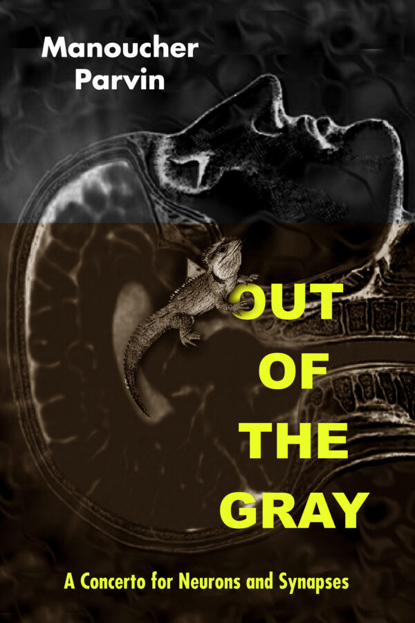 Out of the Gray: A Concerto for Neurons and Synapses