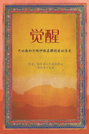Awakening [Simplified Chinese]