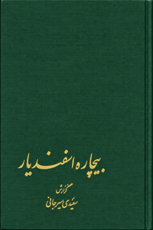 Poor Esfandiyar  (Hardcover) [Persian Language]